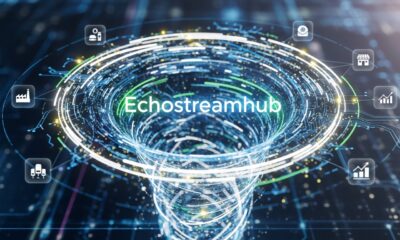 Echostreamhub: Transforming Data Streaming for Businesses