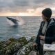 Exploring Whaleness: The Essence of Connection in Our Lives