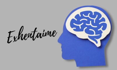 Exhentaime: Understanding Its Role in Modern Storytelling