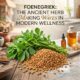 Foenegriek: The Ancient Herb Making Waves in Modern Wellness