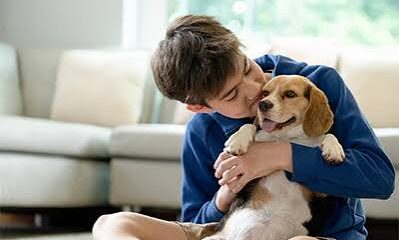 Asa Danes: Fun Activities to Enjoy with Your Four-Legged Friend