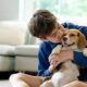 Asa Danes: Fun Activities to Enjoy with Your Four-Legged Friend