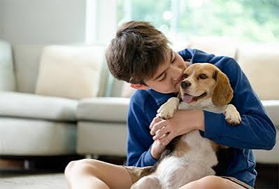 Asa Danes: Fun Activities to Enjoy with Your Four-Legged Friend